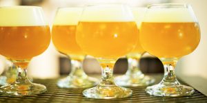 cerveza estilo IPA